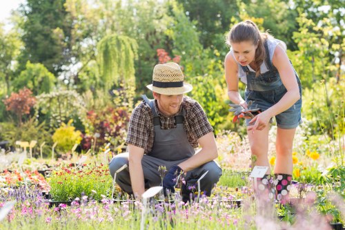 Garden maintenance in Balham with tidy lawns and trimmed borders