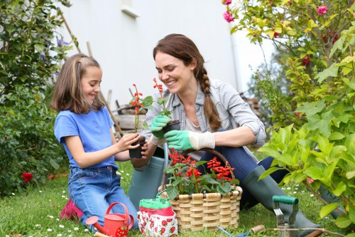 Professional planting services in Balham for a front garden border
