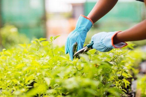 Site review and complaint handling for landscaping work
