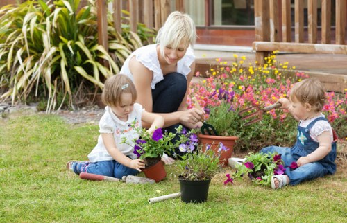 Seasonal lawn care for Balham homes