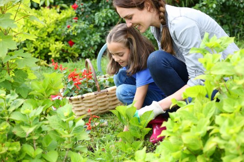 Landscaping waste sorting and recycling in Balham