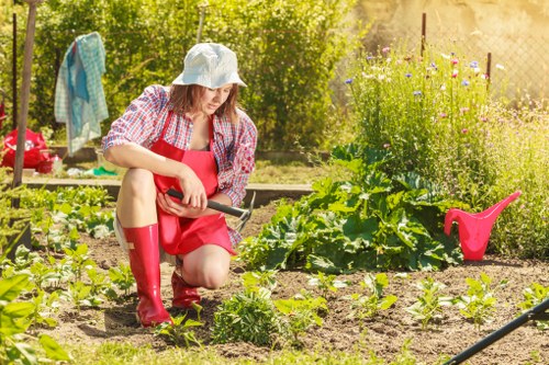 Garden maintenance and mowing service in Balham