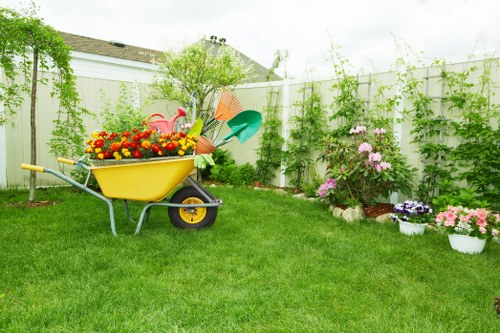 Lawn care and edging for a Balham residential garden
