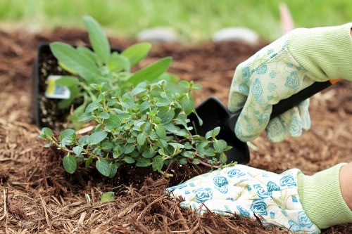 Escalation review in a landscaping complaints process