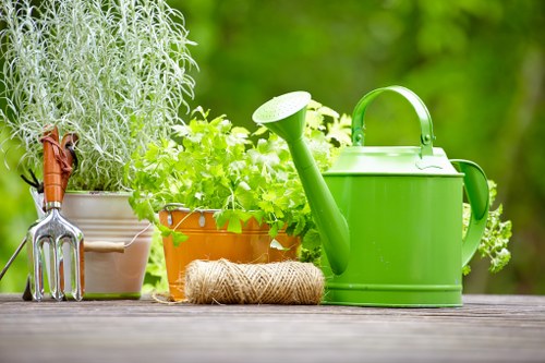Professional garden clearance in Balham with green waste collection