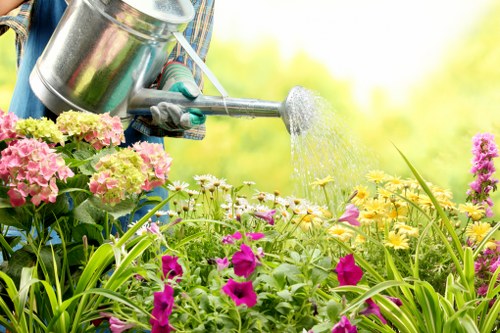 Local transfer station recycling for green waste and materials