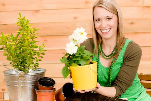 Seasonal garden maintenance in Balham with healthy planting beds