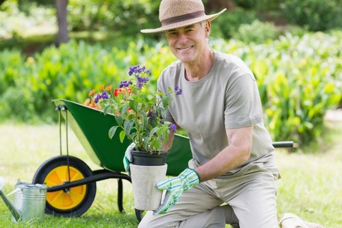 Seasonal lawn maintenance in Balham with tidy grass and leafy garden