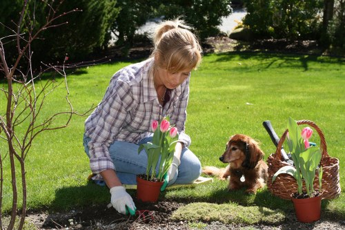 Seasonal planting design with shrubs, perennials, and climbers in Balham