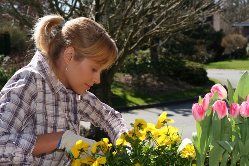 Recording a customer complaint for outdoor services